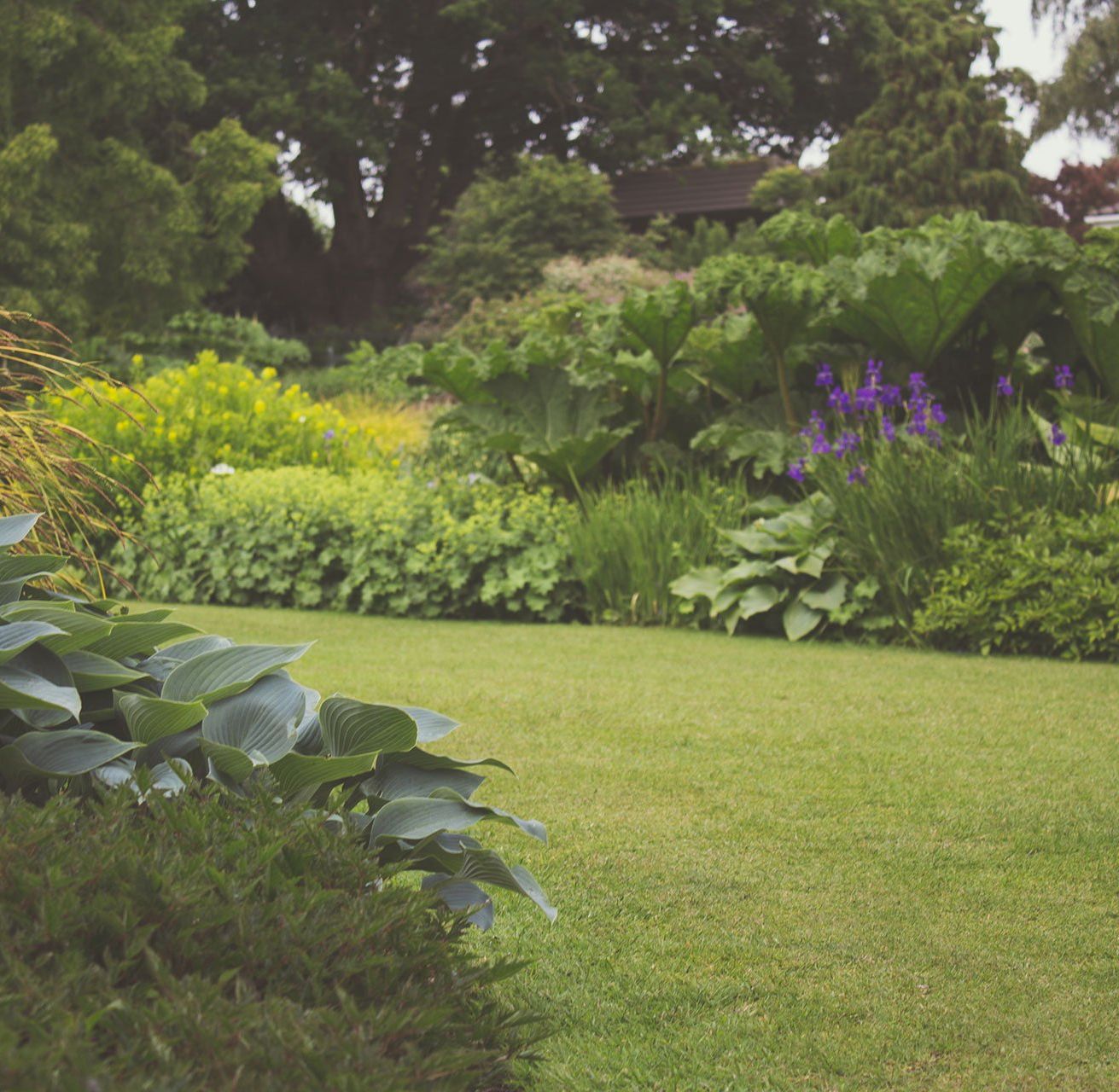 Garden maintenance for NDIS clients